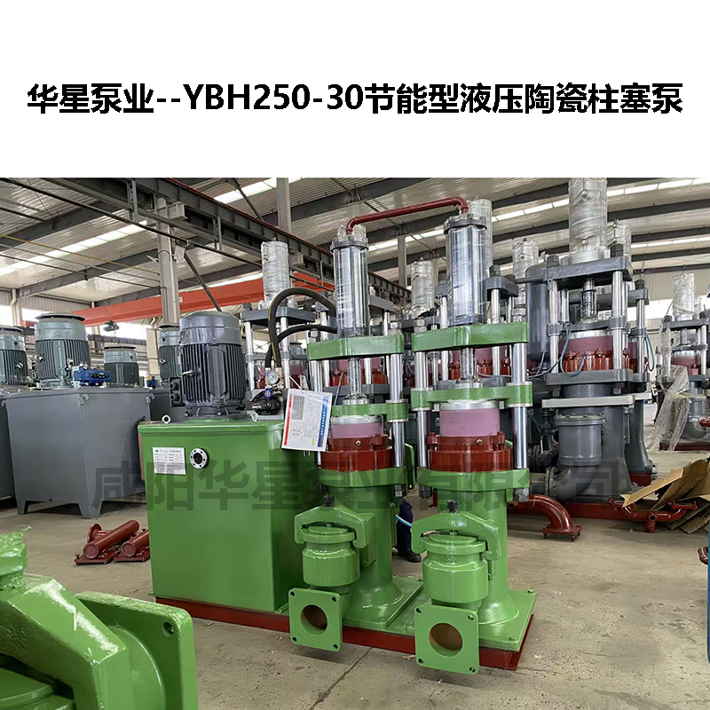 污泥柱塞泵 YBH250-30